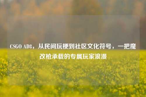 CSGO AD8,从民间玩梗到社区文化符号,一把魔改枪承载的专属玩家浪漫