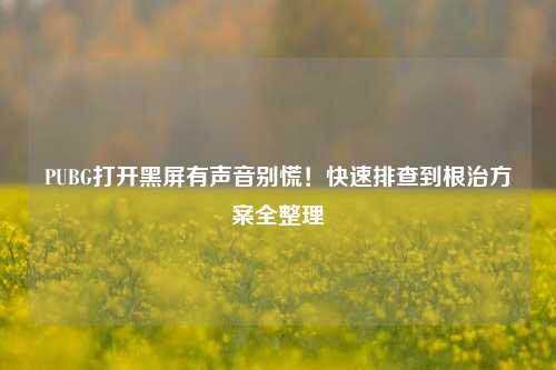PUBG打开黑屏有声音别慌！快速排查到根治方案全整理