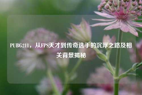 PUBG211,从FPS天才到传奇选手的沉浮之路及相关背景揭秘