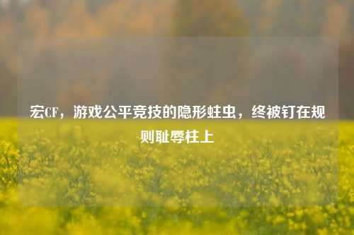 宏CF,游戏公平竞技的隐形蛀虫,终被钉在规则耻辱柱上