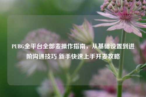 PUBG全平台全部麦操作指南,从基础设置到进阶沟通技巧 新手快速上手开麦攻略