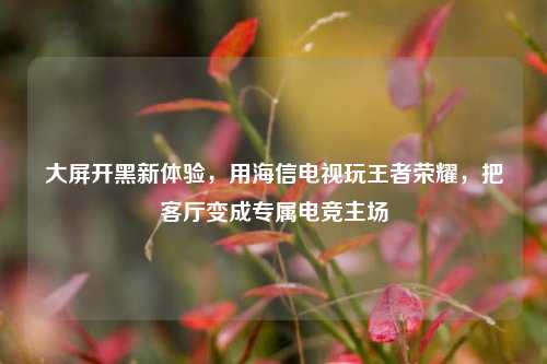 大屏开黑新体验,用海信电视玩王者荣耀,把客厅变成专属电竞主场