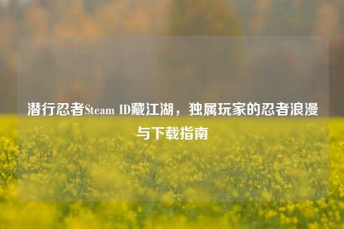 潜行忍者Steam ID藏江湖，独属玩家的忍者浪漫与下载指南