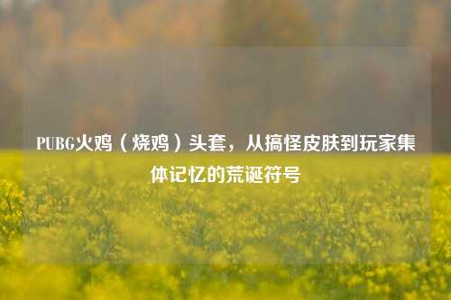 PUBG火鸡（烧鸡）头套，从搞怪皮肤到玩家集体记忆的荒诞符号