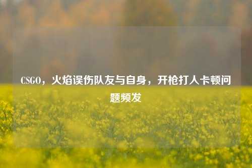CSGO，火焰误伤队友与自身，开枪打人卡顿问题频发