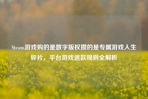 Steam游戏购的是数字版权攒的是专属游戏人生碎片，平台游戏退款规则全解析