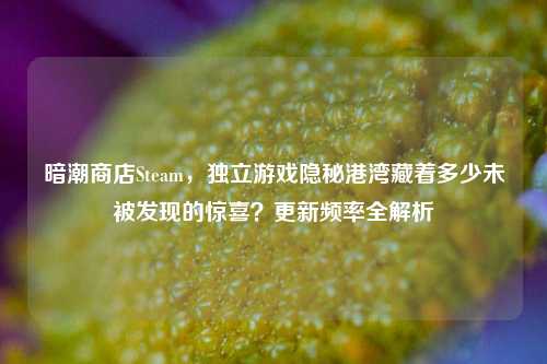 暗潮商店Steam,独立游戏隐秘港湾藏着多少未被发现的惊喜?更新频率全解析
