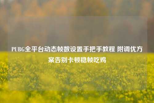 PUBG全平台动态帧数设置手把手教程 附调优方案告别卡顿稳帧吃鸡