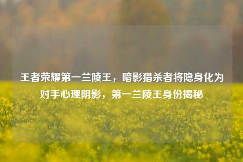 王者荣耀第一兰陵王,暗影猎杀者将隐身化为对手心理阴影,第一兰陵王身份揭秘