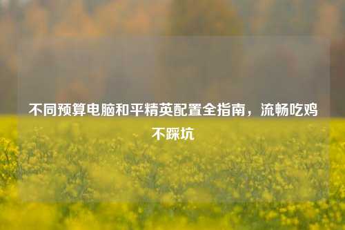 不同预算电脑和平精英配置全指南，流畅吃鸡不踩坑