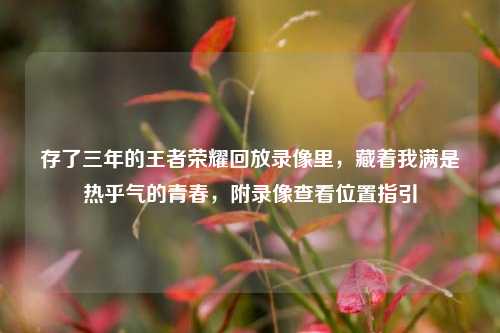 存了三年的王者荣耀回放录像里,藏着我满是热乎气的青春,附录像查看位置指引