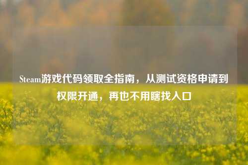 Steam游戏代码领取全指南,从测试资格申请到权限开通,再也不用瞎找入口