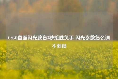 CSGO直面闪光致盲3秒接胜负手 闪光参数怎么调不刺眼