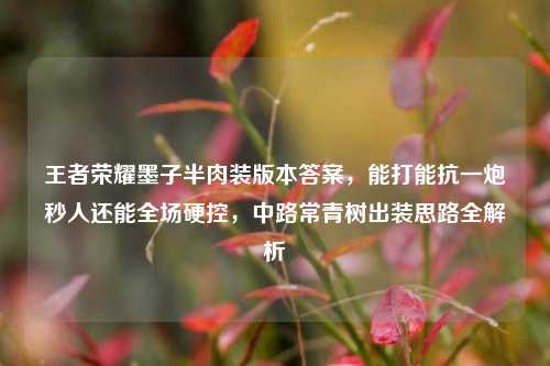 王者荣耀墨子半肉装版本答案，能打能抗一炮秒人还能全场硬控，中路常青树出装思路全解析