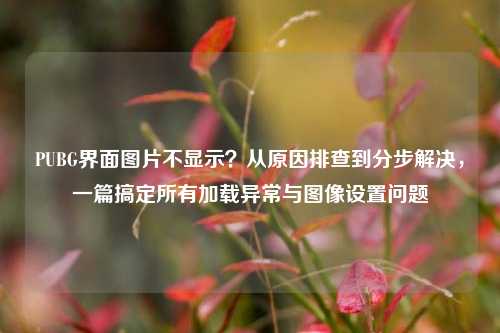 PUBG界面图片不显示？从原因排查到分步解决，一篇搞定所有加载异常与图像设置问题