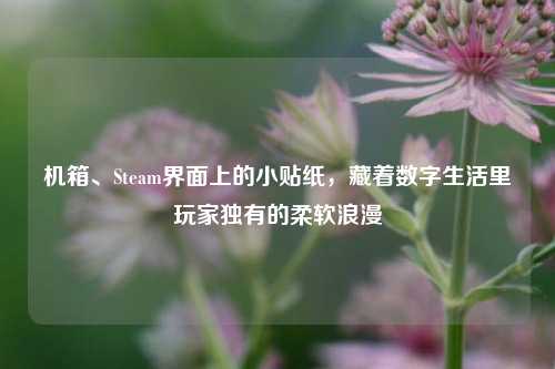机箱、Steam界面上的小贴纸，藏着数字生活里玩家独有的柔软浪漫