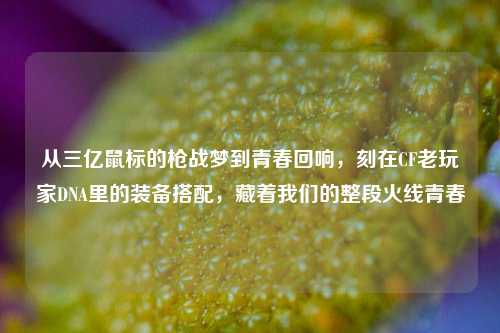 从三亿鼠标的枪战梦到青春回响，刻在CF老玩家DNA里的装备搭配，藏着我们的整段火线青春