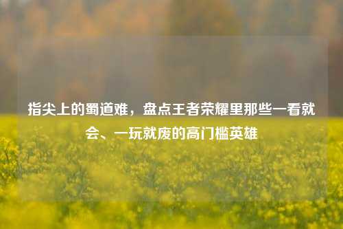 指尖上的蜀道难，盘点王者荣耀里那些一看就会、一玩就废的高门槛英雄