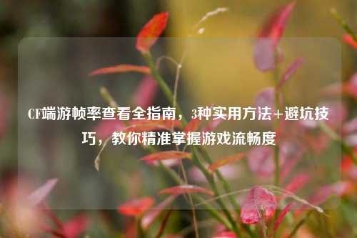 CF端游帧率查看全指南,3种实用方法+避坑技巧,教你精准掌握游戏流畅度