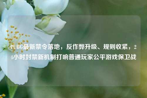 PUBG最新禁令落地,反作弊升级、规则收紧,24小时封禁新机制打响普通玩家公平游戏保卫战