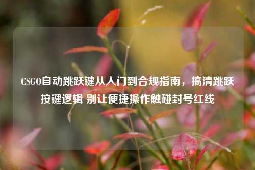 CSGO自动跳跃键从入门到合规指南，搞清跳跃按键逻辑 别让便捷操作触碰封号红线