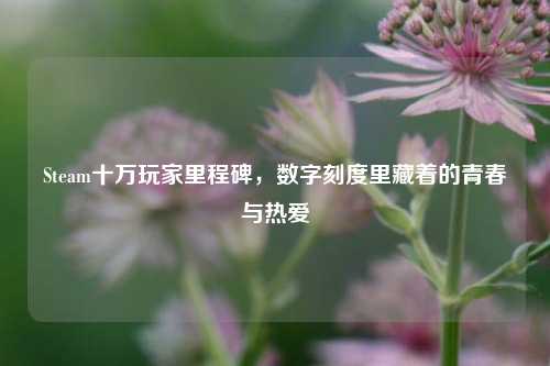 Steam十万玩家里程碑,数字刻度里藏着的青春与热爱