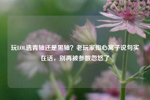 玩LOL选青轴还是黑轴?老玩家掏心窝子说句实在话,别再被参数忽悠了
