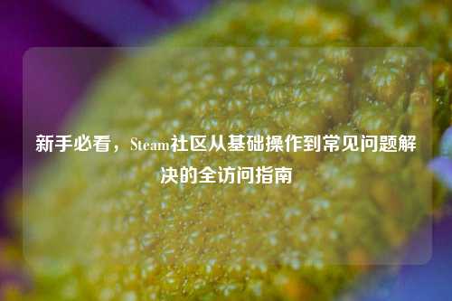新手必看,Steam社区从基础操作到常见问题解决的全访问指南