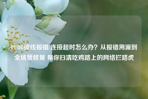 PUBG掉线报错/连接超时怎么办？从报错溯源到全场景修复 帮你扫清吃鸡路上的网络拦路虎