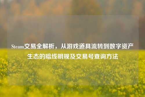 Steam交易全解析,从游戏道具流转到数字资产生态的暗线明规及交易号查询方法