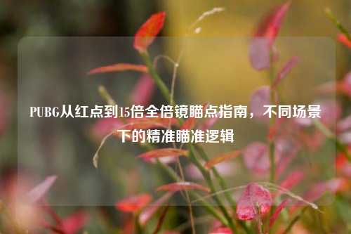 PUBG从红点到15倍全倍镜瞄点指南,不同场景下的精准瞄准逻辑