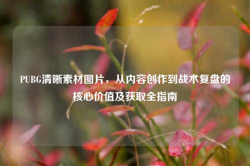 PUBG清晰素材图片,从内容创作到战术复盘的核心价值及获取全指南