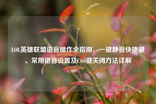 LOL英雄联盟语音操作全指南,一键静音快捷键、常用语音设置及Ctrl键关闭方法详解
