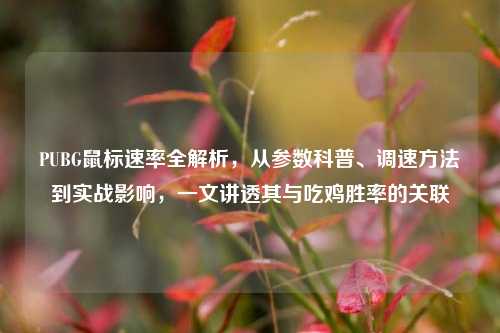 PUBG鼠标速率全解析，从参数科普、调速方法到实战影响，一文讲透其与吃鸡胜率的关联