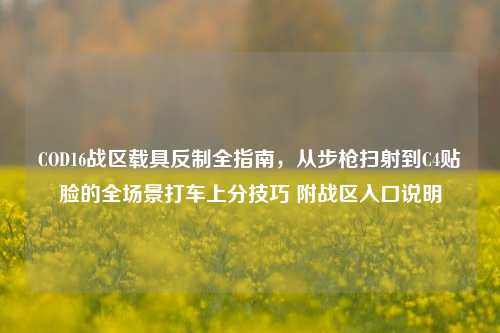 COD16战区载具反制全指南,从步枪扫射到C4贴脸的全场景打车上分技巧 附战区入口说明