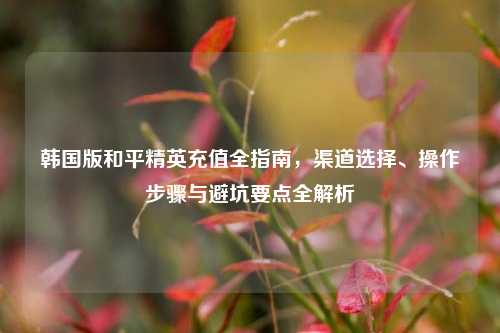 韩国版和平精英充值全指南,渠道选择、操作步骤与避坑要点全解析