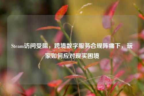 Steam访问受阻,跨境数字服务合规阵痛下,玩家如何应对现实困境