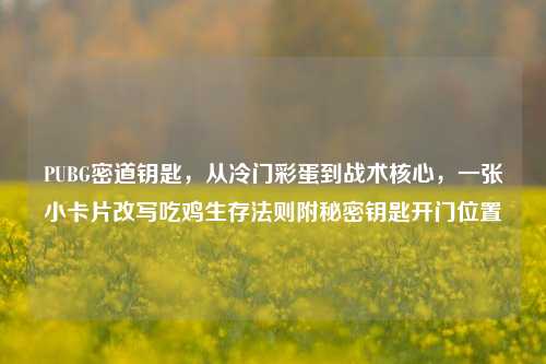 PUBG密道钥匙,从冷门彩蛋到战术核心,一张小卡片改写吃鸡生存法则附秘密钥匙开门位置