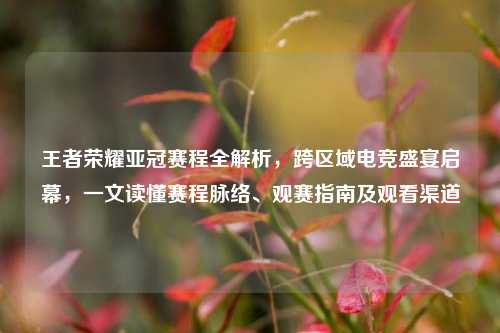 王者荣耀亚冠赛程全解析,跨区域电竞盛宴启幕,一文读懂赛程脉络、观赛指南及观看渠道