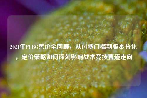 2021年PUBG售价全回顾，从付费门槛到版本分化，定价策略如何深刻影响战术竞技赛道走向
