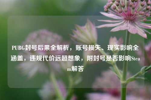 PUBG封号后果全解析,账号损失、现实影响全涵盖,违规代价远超想象,附封号是否影响Steam解答