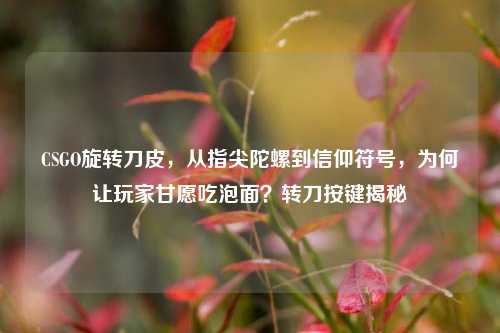 CSGO旋转刀皮,从指尖陀螺到信仰符号,为何让玩家甘愿吃泡面?转刀按键揭秘