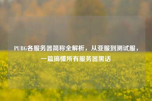 PUBG各服务器简称全解析，从亚服到测试服，一篇搞懂所有服务器黑话