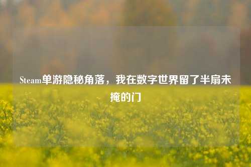 Steam单游隐秘角落，我在数字世界留了半扇未掩的门