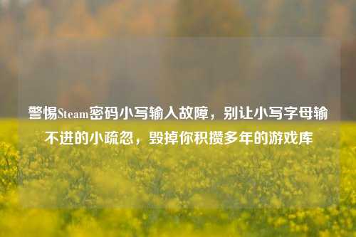 警惕Steam密码小写输入故障,别让小写字母输不进的小疏忽,毁掉你积攒多年的游戏库