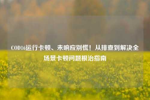COD16运行卡顿、未响应别慌!从排查到解决全场景卡顿问题根治指南
