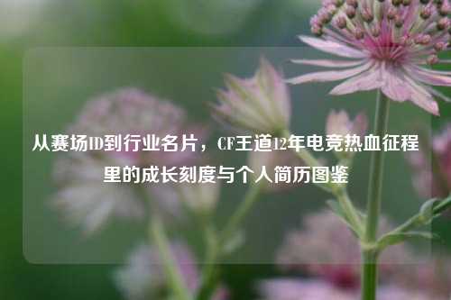 从赛场ID到行业名片，CF王道12年电竞热血征程里的成长刻度与个人简历图鉴