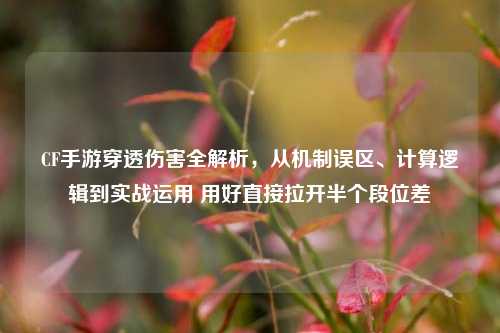 CF手游穿透伤害全解析，从机制误区、计算逻辑到实战运用 用好直接拉开半个段位差