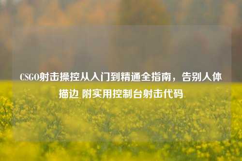 CSGO射击操控从入门到精通全指南,告别人体描边 附实用控制台射击代码