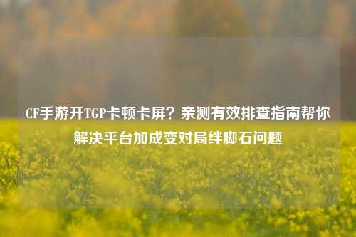 CF手游开TGP卡顿卡屏？亲测有效排查指南帮你解决平台加成变对局绊脚石问题